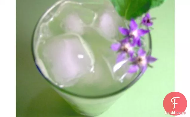 Jeleu De Castravete Borage Cu Ghimbir