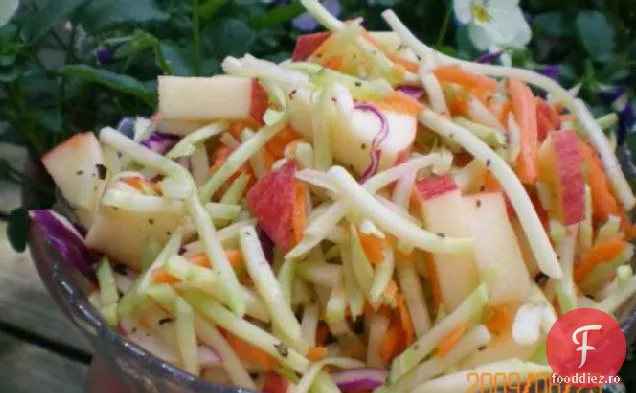 Weight Watchers Apple Cole Slaw (1 Punct)