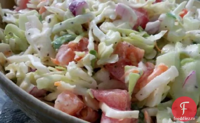 Slaw De Grădină Cu Conținut Scăzut De Grăsimi