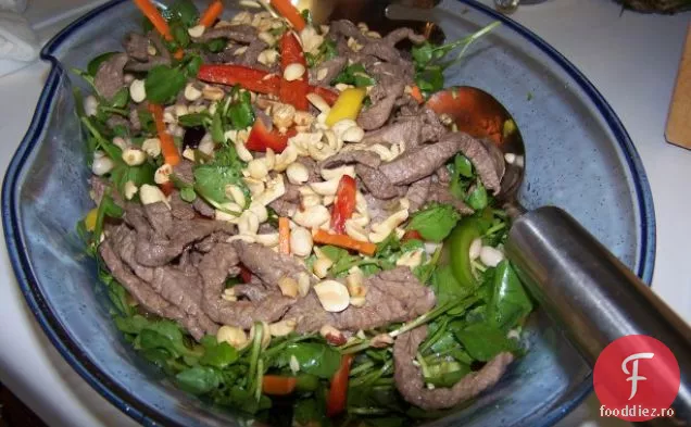 Carne De Vită Prăjită Cu Salată De Mango