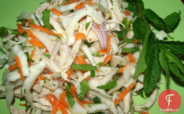 Salată vietnameză de pui și mentă