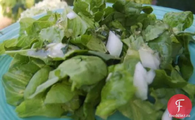 Salată Foarte Verde Cu Vinetă De Plante
