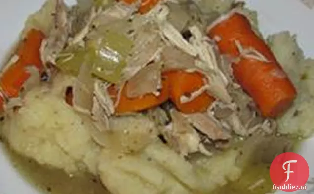 Pui De Morcov Cu Aragaz Lent
