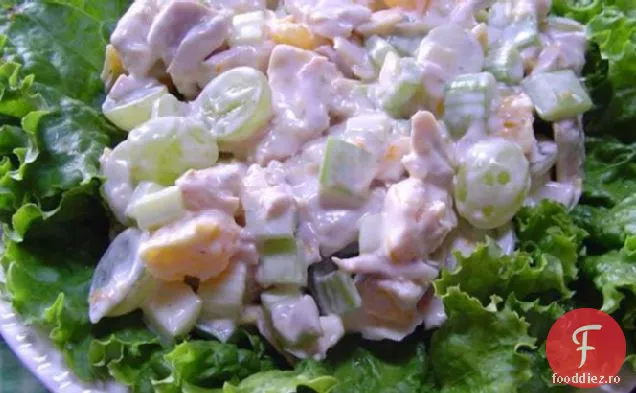 Salată De Pui Cu Fructe Portocalii