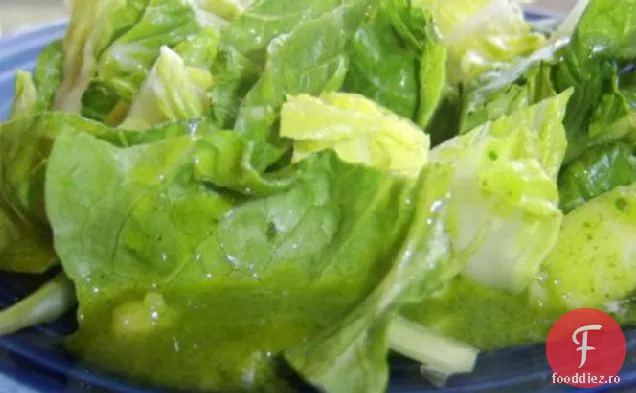 Salată De Salată Romaine Cu Pansament De Coriandru