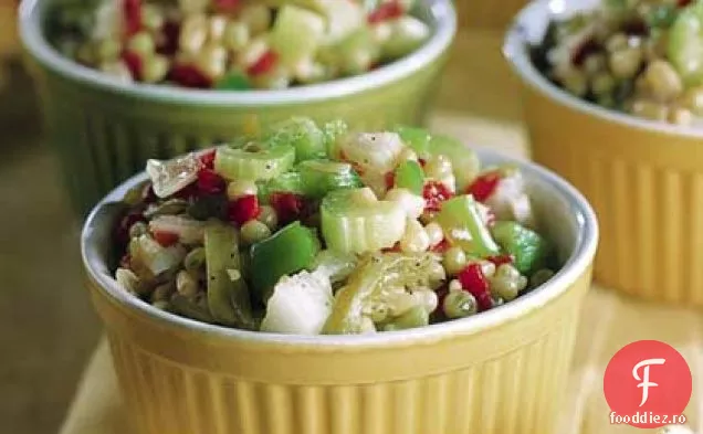 Salată De Legume Răcită