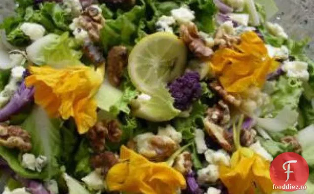 Salată de cicoare-andive Roquefort și nucă