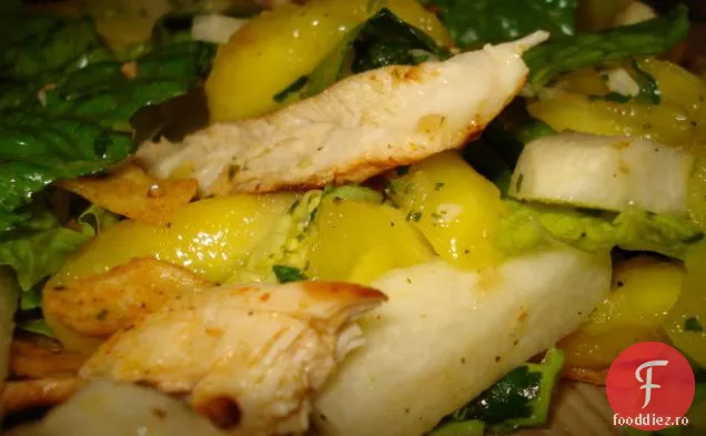 Salată De Pui, Mango Și Jicama Cu Vinetă De Tequila-Lime