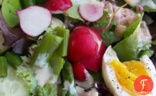 Salată De Primăvară Cu Sos De Cremă De Lapte