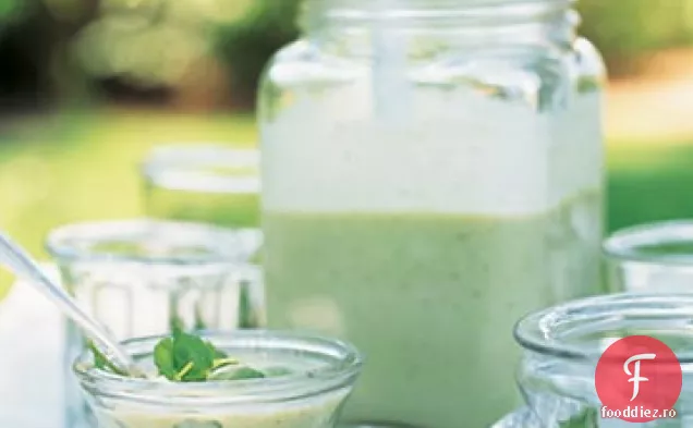 Zară Vichyssoise cu Nasturel