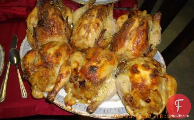 Găini De Vânat Cornish Umplute