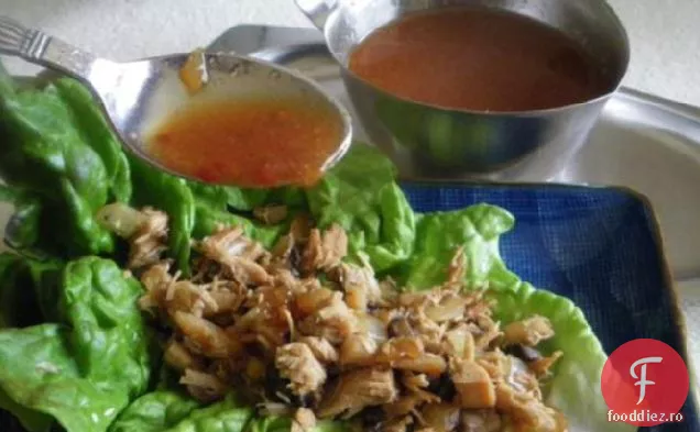 P. F. împachetări cu salată de pui Chang
