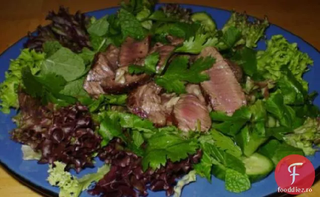Neua Nam Tok (Salată Vietnameză De Vită La Grătar)