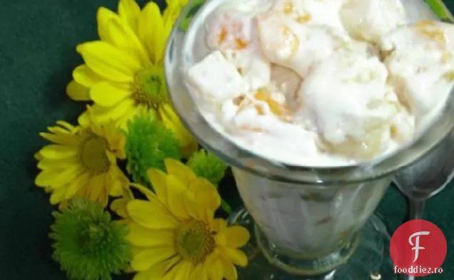 Salată/Desert Ușor De Fructe Congelate