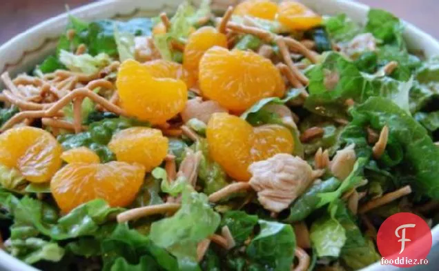 Salată Delicioasă De Pui Asiatic Cu Tăiței Chow Mein