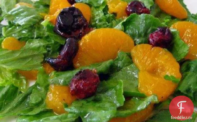 Afine Jingle Bell pe salată Boston