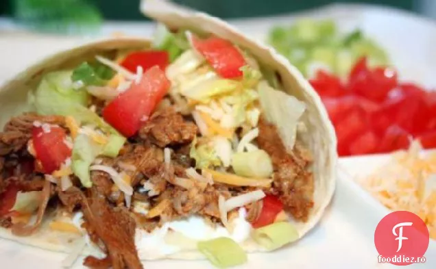 Crock Pot Burrito Carne
