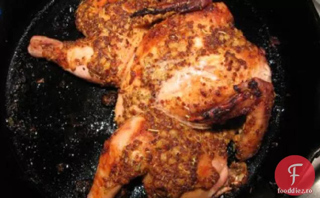 Găină De Vânat Cornish Prăjită Cu Glazură De Muștar