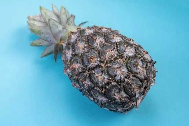 Desert Tropical Cu Ananas