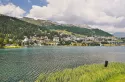 Festivalul Gourmet St. Moritz: O adunare globală a bucătari de top